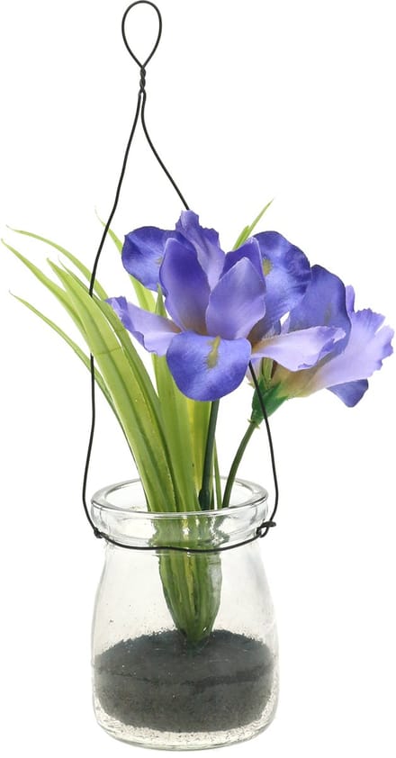 Iris sering in een glas om op te hangen H21.5cm