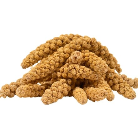 1 kg Lyra Pet® Vossenstaartgierst geel