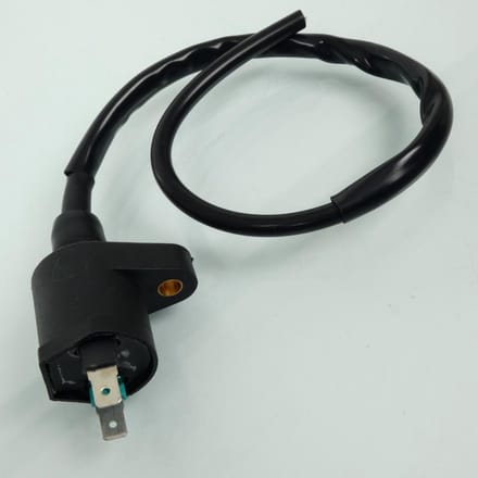 Bobine d'allumage HT P2R pour Scooter CPI 50 Popcorn Avant 2020 Neuf