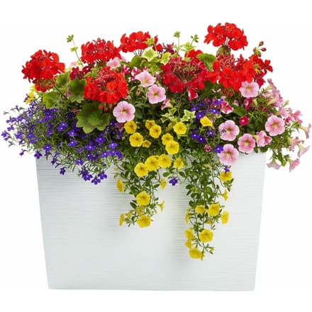 Hoge Rechthoekige Plantenbak Wit met Inzet 56x36 cm