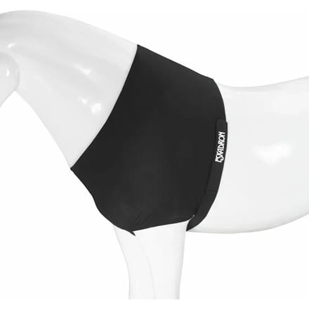Eskadron Borstbeschermer Eskadron Dyn Air Mesh Zwart - Paard