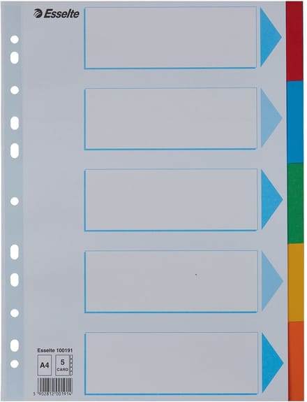 Tabbladen Esselte Standaard A4 5-delig karton 11-rings met voorblad assorti | 20 stuks