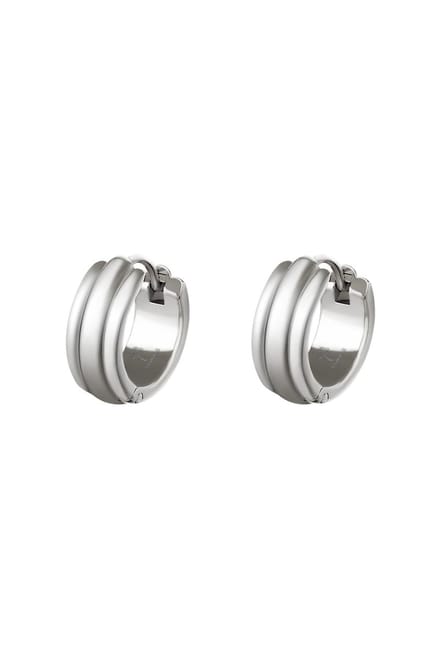 Oorbellen - Glammish - Zilver - Stainless Steel - Yehwang