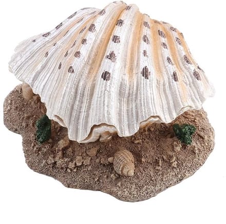 Store_9 - Aquariumdecoratie Koraalrif - Veilige Hars - Verbrede Basis