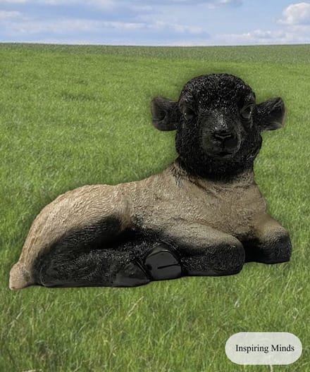 Tuinbeeld schaap een schaap beeldje 24cm - dieren beeldjes decoratie
