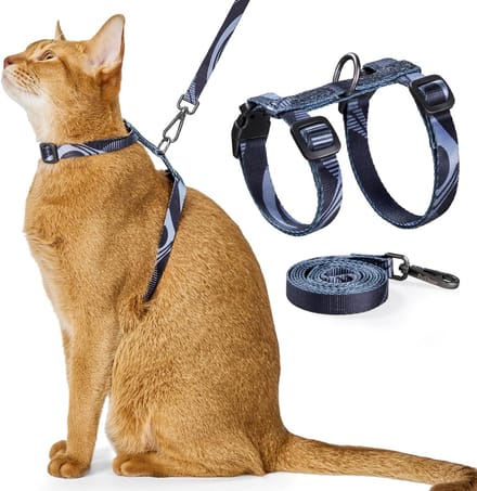 Kattenharnas - Kattenrugzak - Kattentuige met Looplijn