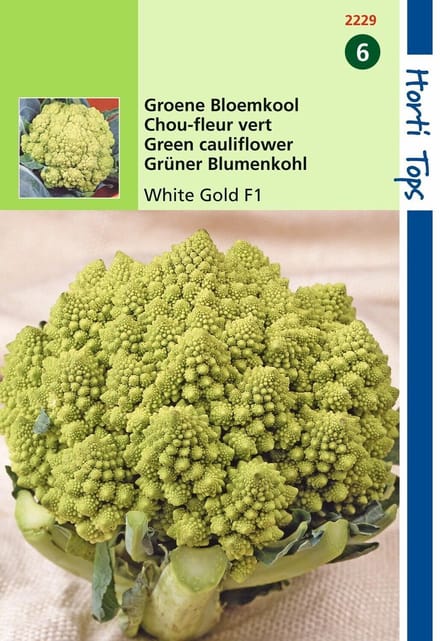 2 stuks - Hortitops - Bloemkool Minaret, Groene Romanesco