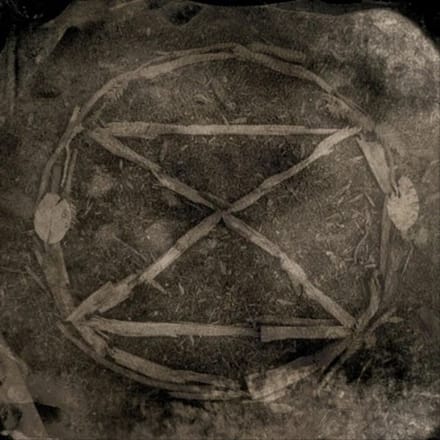 King Eider Common Eider - Extinction (CD)