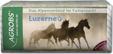 Agrobs Luzerne +
