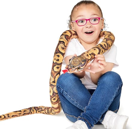 Pluche Slang - Knuffel Dier - Kinderkamer Decoratie - Levensgrootte Model - 180cm Lengte - Birmaanse Python