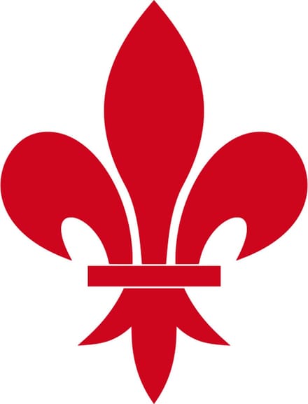 Vlag Oupeye 200x300cm