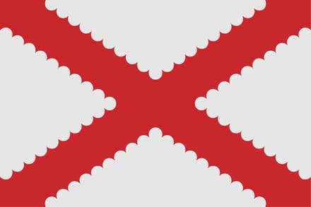 Vlag Bertem 100x150cm