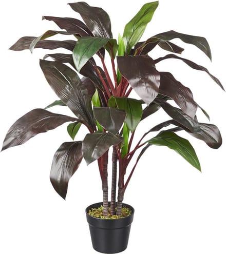 Kunstplant Cordyline roodgroen H80cm - HTT Decorations kunstplanten
