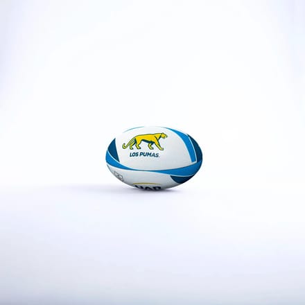 Rugbybal Pumas