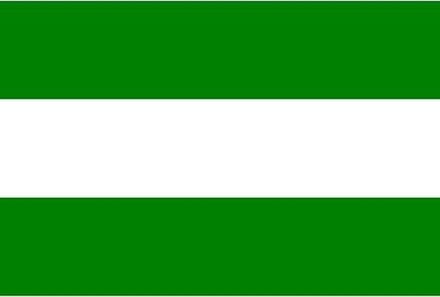Vlag Rotterdam 90 x 150