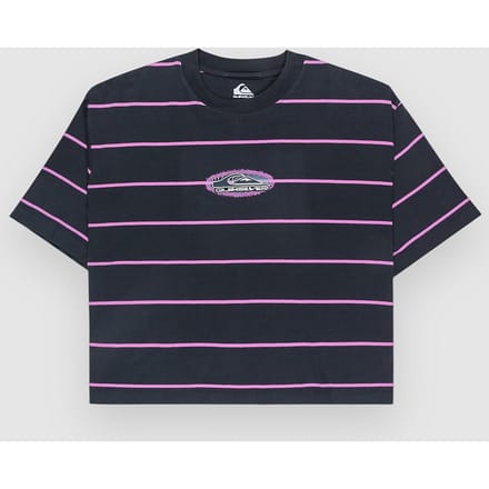 Quiksilver Stripart T-Shirt zwart