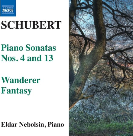 Eldar Nebolsin - Schubert: Piano Sonatas Nos. 4 And 13 | Wanderer Fantasy (CD)