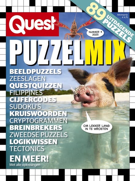 Quest Puzzelmix 4 2025