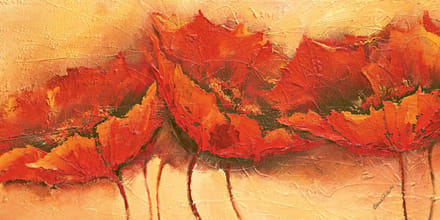 poster PGM Elena Filatov - Wilder Mohn 100 x 50 cm (klaproos)