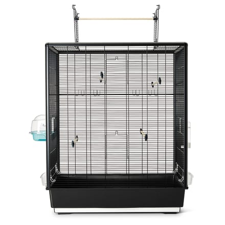 Savic Primo 60 Open Empire 80x50x115cm Vogel