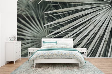 Behang - Fotobehang Bladeren - Groen - Palm - Breedte 435 cm x hoogte 260 cm