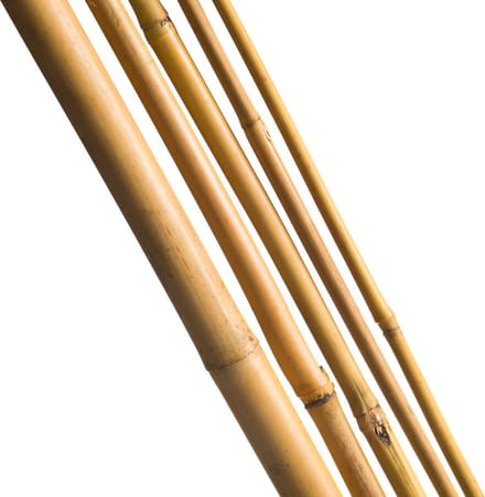 Nature Bamboestok Natural - Klim-En Geleide Artikel - 120 cm