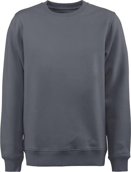 Printer SWEATSHIRT SOFTBALL RSX 2262048 - Staalgrijs - L