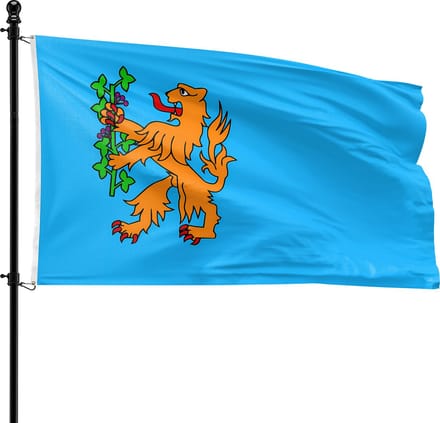 VlagDirect - Brummen vlag - Gemeente Brummen vlag - 90 x 150 cm.