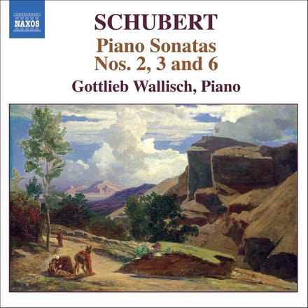 Gottlieb Wallisch - Schubert: Early Piano Sonatas (CD)