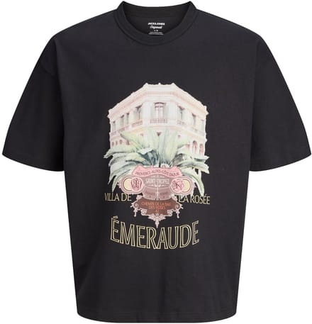 JACK&JONES - JORMENTON PHOTO TEE SS CREW NECK - Heren - T-shirts