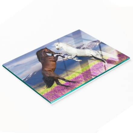 Decoratieve glazen serveerplank voor snacks, Góry Konskie, 80x52 cm