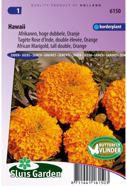 Sluis Garden - Afrikaan hoog Hawaii oranje