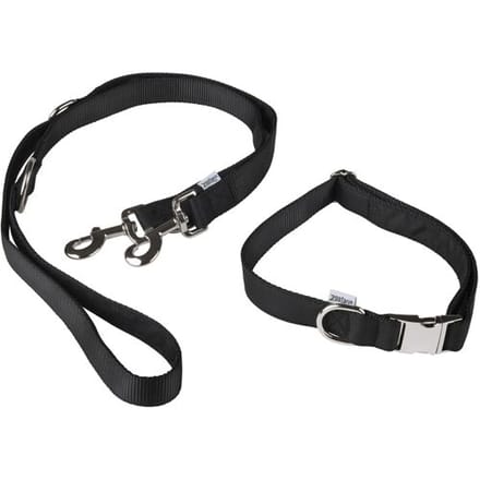 zoofari Hondenhalsband (M, Zwart)