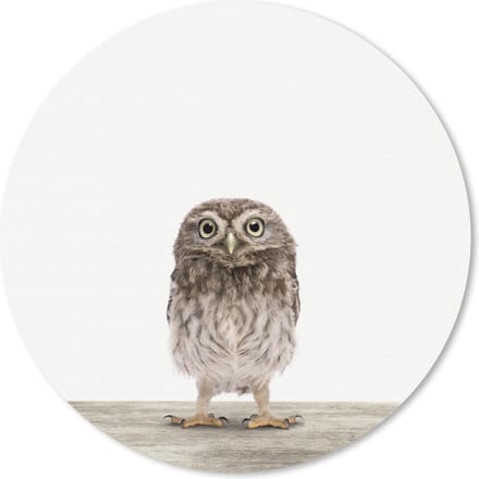Muismat rond 20x20 cm - Mousepad Dieren - Wit - Uil - Ronde muismatten