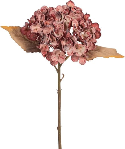 Hortensia oud bordeaux Ø15x33cm