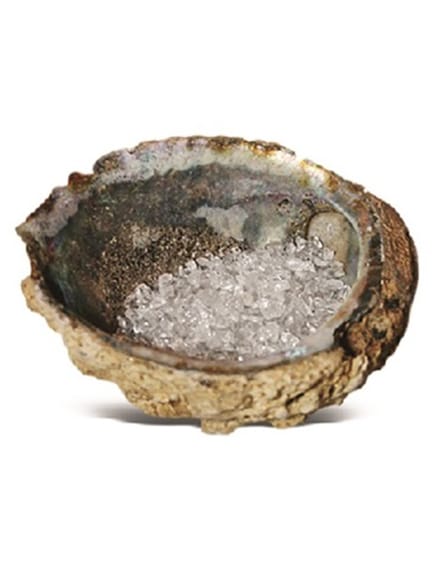 Abalone oplaadschelp