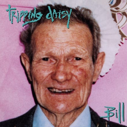 Bill - Tripping Daisy