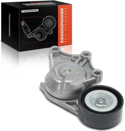Frankberg 1x spanner rolriem voor Citroën