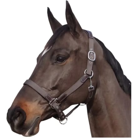 Nylon/leren halster Flags&Cup