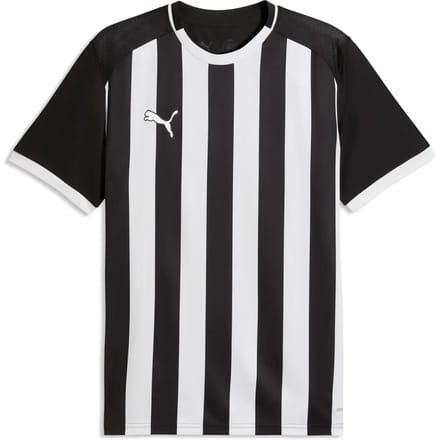 Gestreept shirt Puma Team Liga26