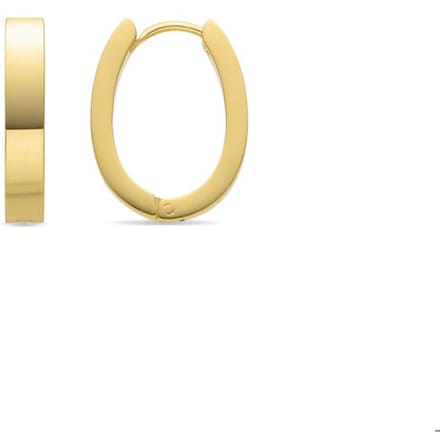 Luxenter 18K goudkleurige oorbellen - Firax