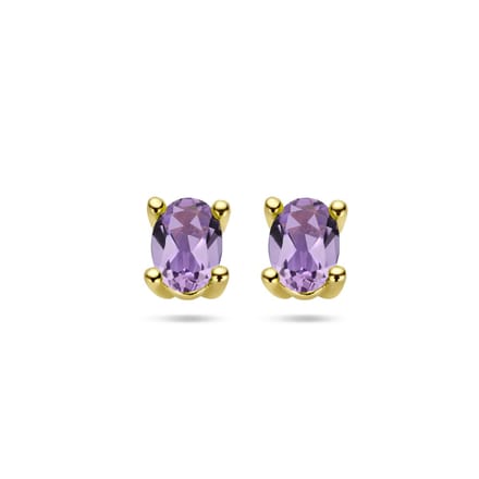YO&NO - Oorknoppen - amethist - Paars - 4 bij 6mm - Goud