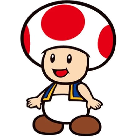 3d kussen Nintendo Super Mario Bros Toad