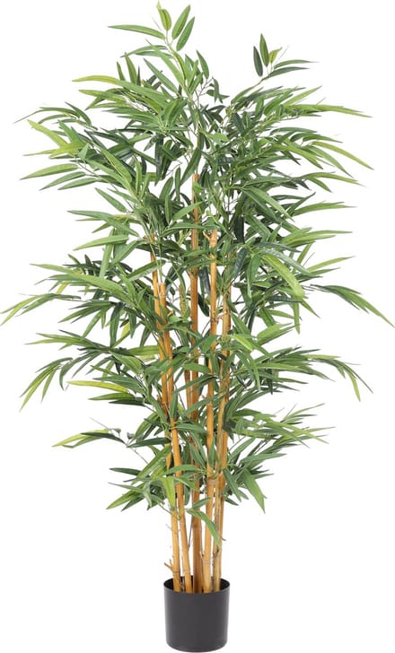 Kunst Bamboe Plant Deluxe – 155 cm – High Density – Echte Bamboe Stammen – In Pot