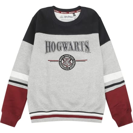 Harry Potter Sweatshirt - Kids - Hogwarts - England Made - 176 - voor Kinderen - meerkleurig