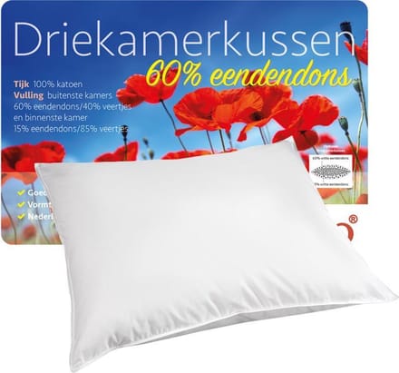 iSleep 3-Kamer Hoofdkussen - Puntkussen - Eendendons - 60x70 cm - Wit