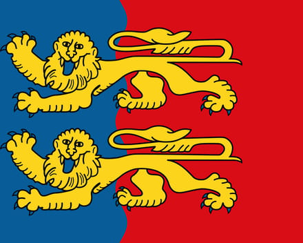 Vlag Manche 100x150cm