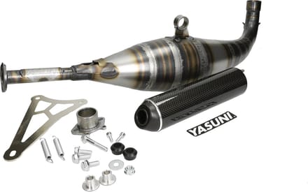Uitlaat Yasuni C40 carbon Minarelli Horizontaal