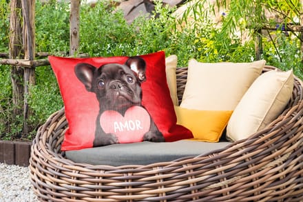 Buitenkussens - Amor - Hond - Hartje - Rood - 60x40 cm - Weerbestendig