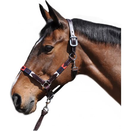 Halster voor paarden Flags&Cup Chukka